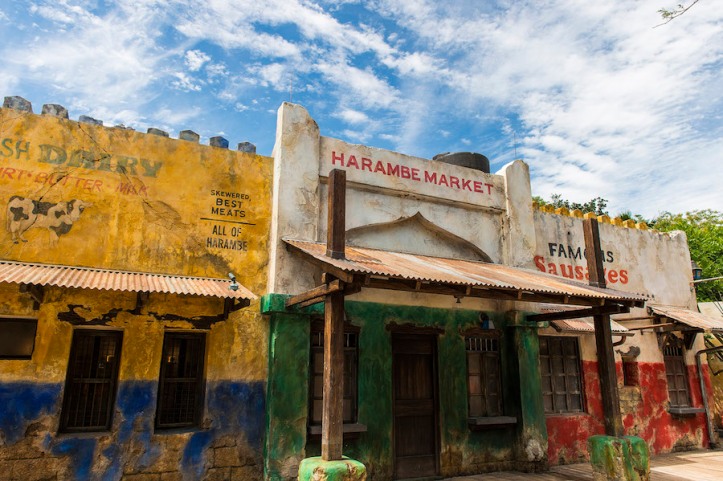 Harambe-Market-in-Africa-at-Disneys-Animal-Kingdom